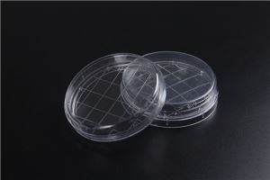 实验室无菌一次性培养皿