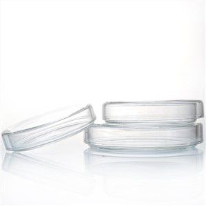 玻璃培养皿细胞培养